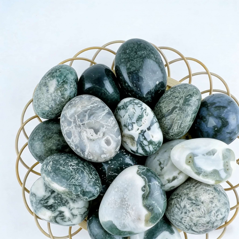 Natural Moss Agate Crushed Sto - огляд і ціна Echeveria Succulent