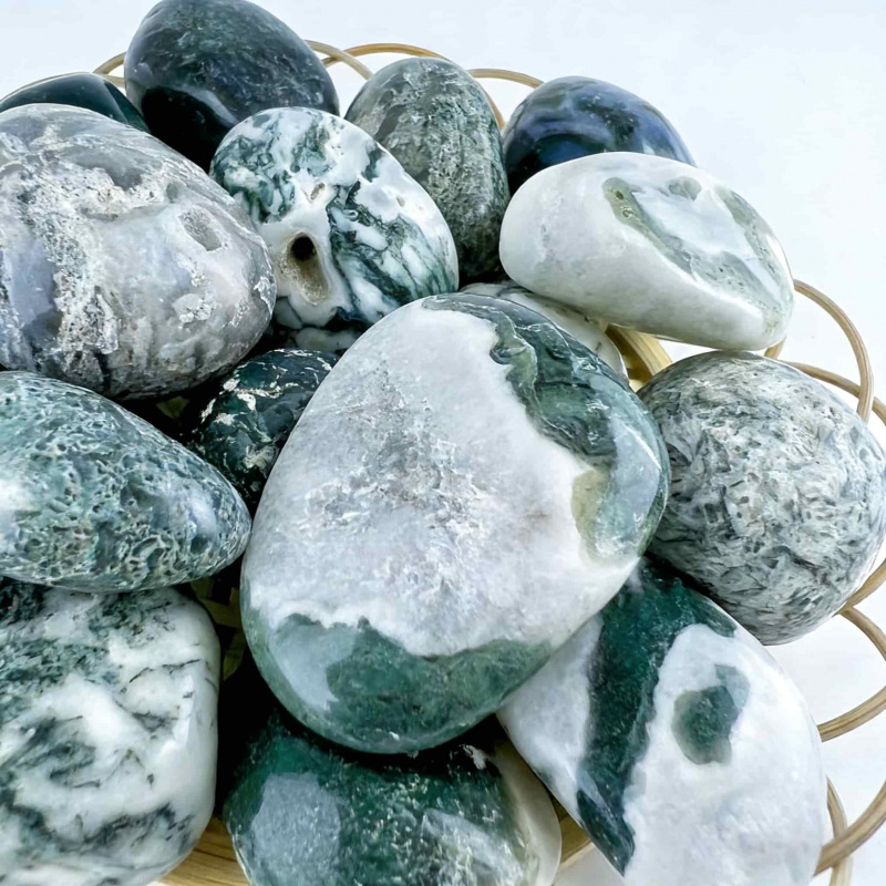 Natural Moss Agate Crushed Sto - огляд і ціна Echeveria Succulent
