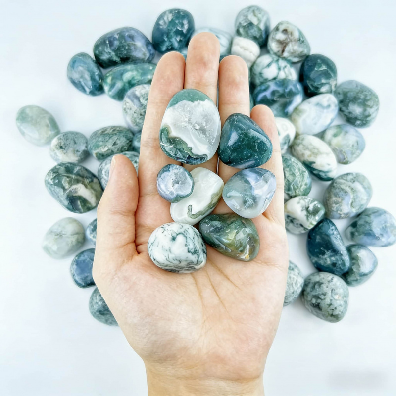 Natural Moss Agate Crushed Sto - огляд і ціна Echeveria Succulent
