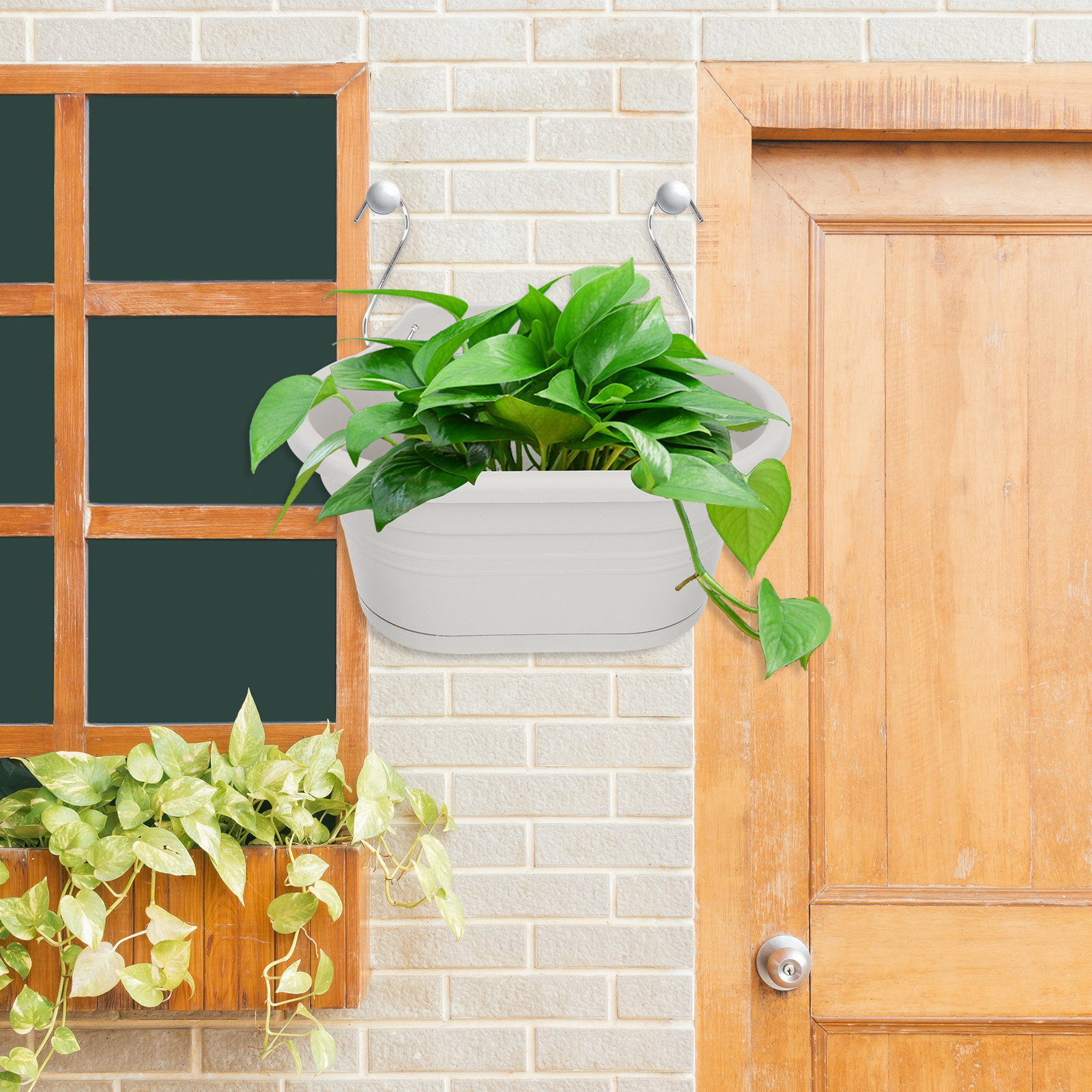 1Set Wall Hanging Flower Pot S - огляд і ціна Spider Plant Hanging