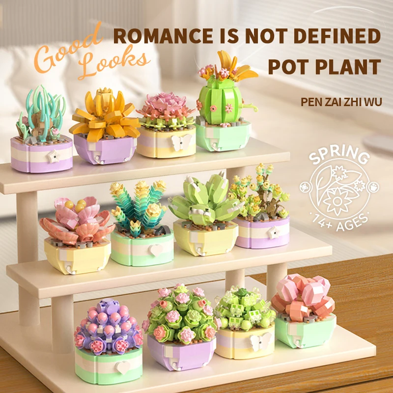 Flower Succulents Building Blo - огляд і ціна Echeveria Succulent