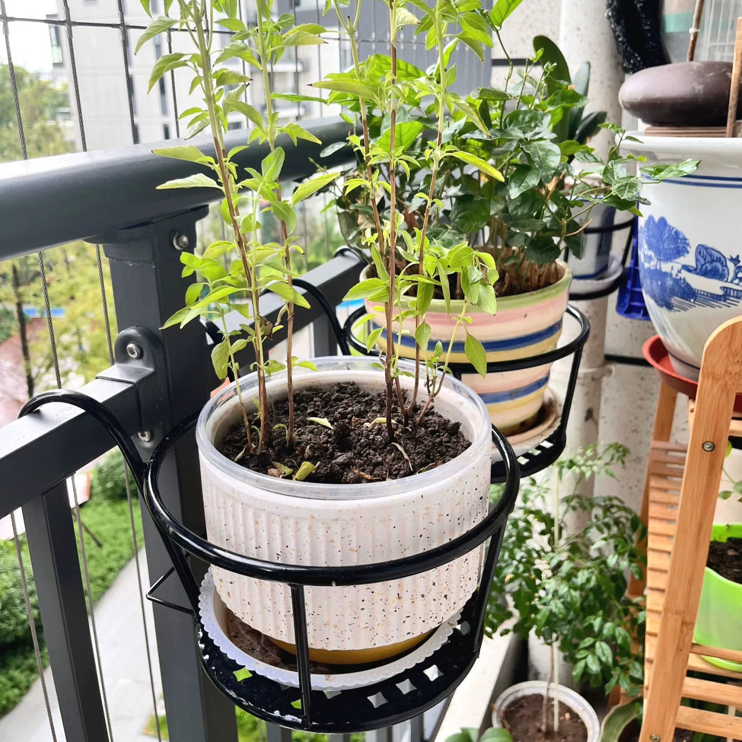 Wrought Iron Balcony Hanging F - огляд і ціна Spider Plant Hanging