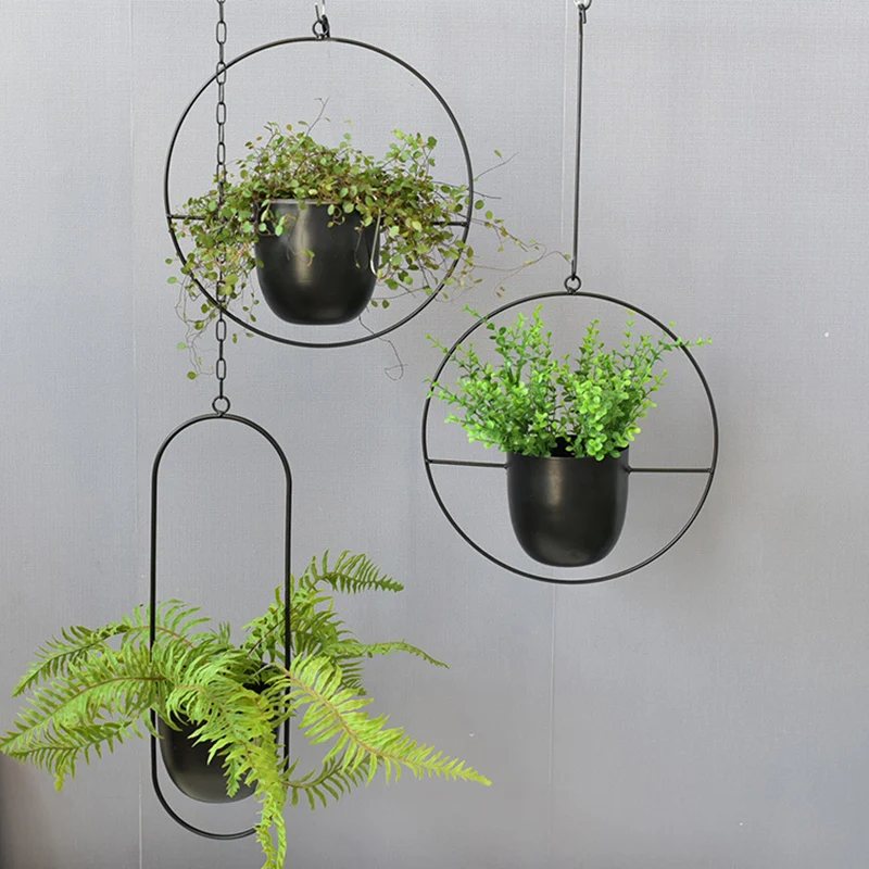 Wrought Iron Hanging Planter E - огляд і ціна Spider Plant Hanging