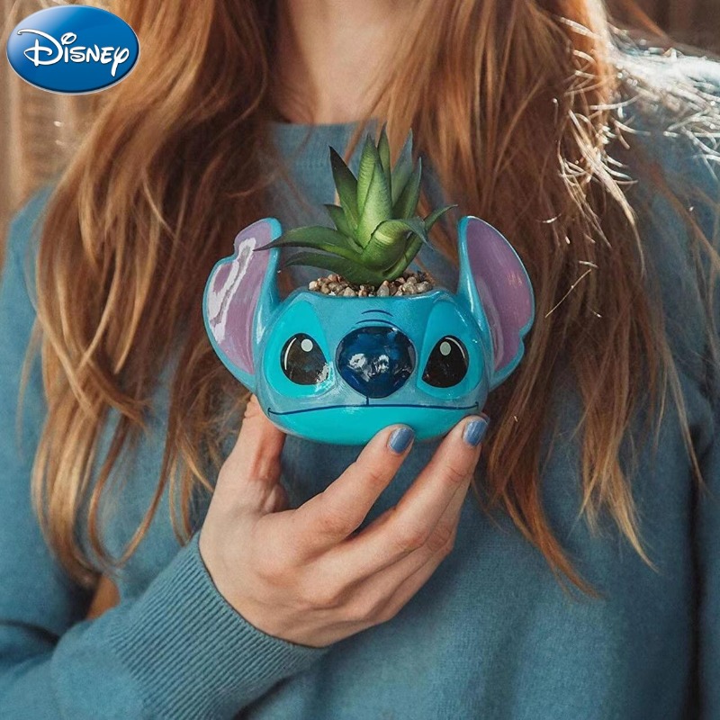 Disney Stitch Decorations Cute - огляд і ціна Echeveria Succulent