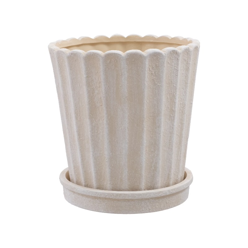 8 Inch Shell Planter Cream Cer - огляд і ціна Aloe Vera Pot