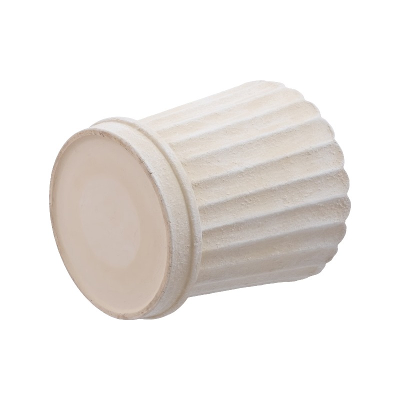 8 Inch Shell Planter Cream Cer - огляд і ціна Aloe Vera Pot