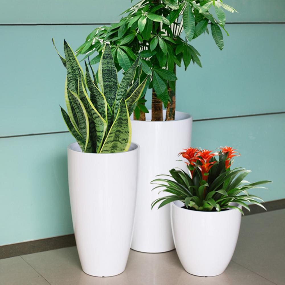 28cm Height Deep Flower Pot Im - огляд і ціна Aloe Vera Pot