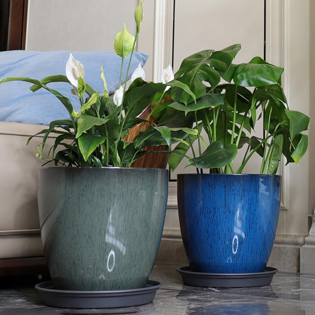 28cm Height Deep Flower Pot Im - огляд і ціна Aloe Vera Pot
