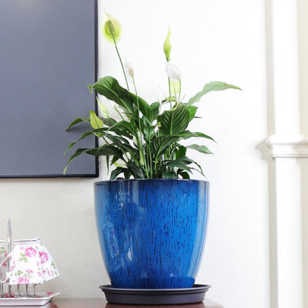 28cm Height Deep Flower Pot Im - огляд і ціна Aloe Vera Pot