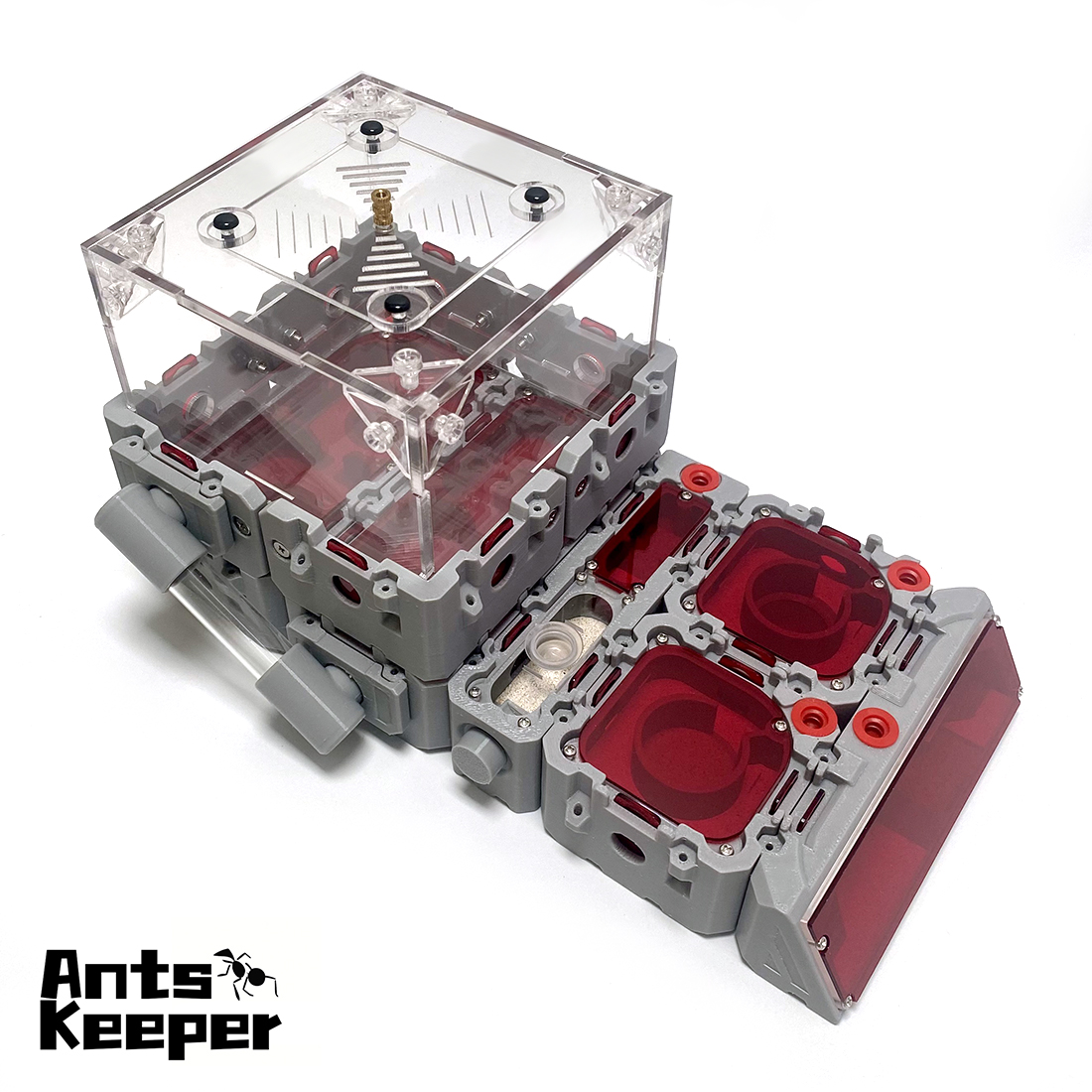 【Lego】Expandable Modular Formi - огляд і ціна Begonia Rex