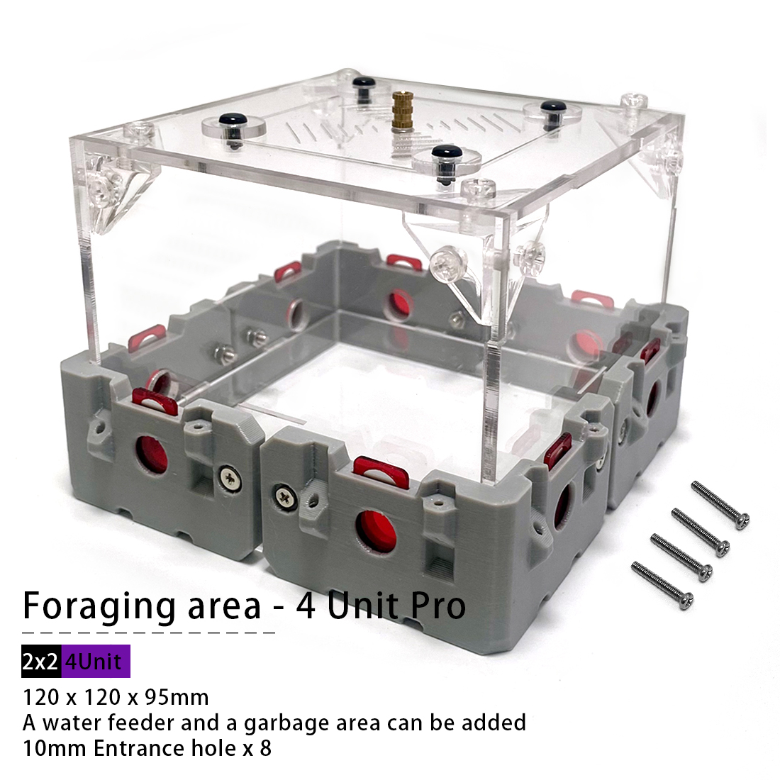 【Lego】Expandable Modular Formi - огляд і ціна Begonia Rex