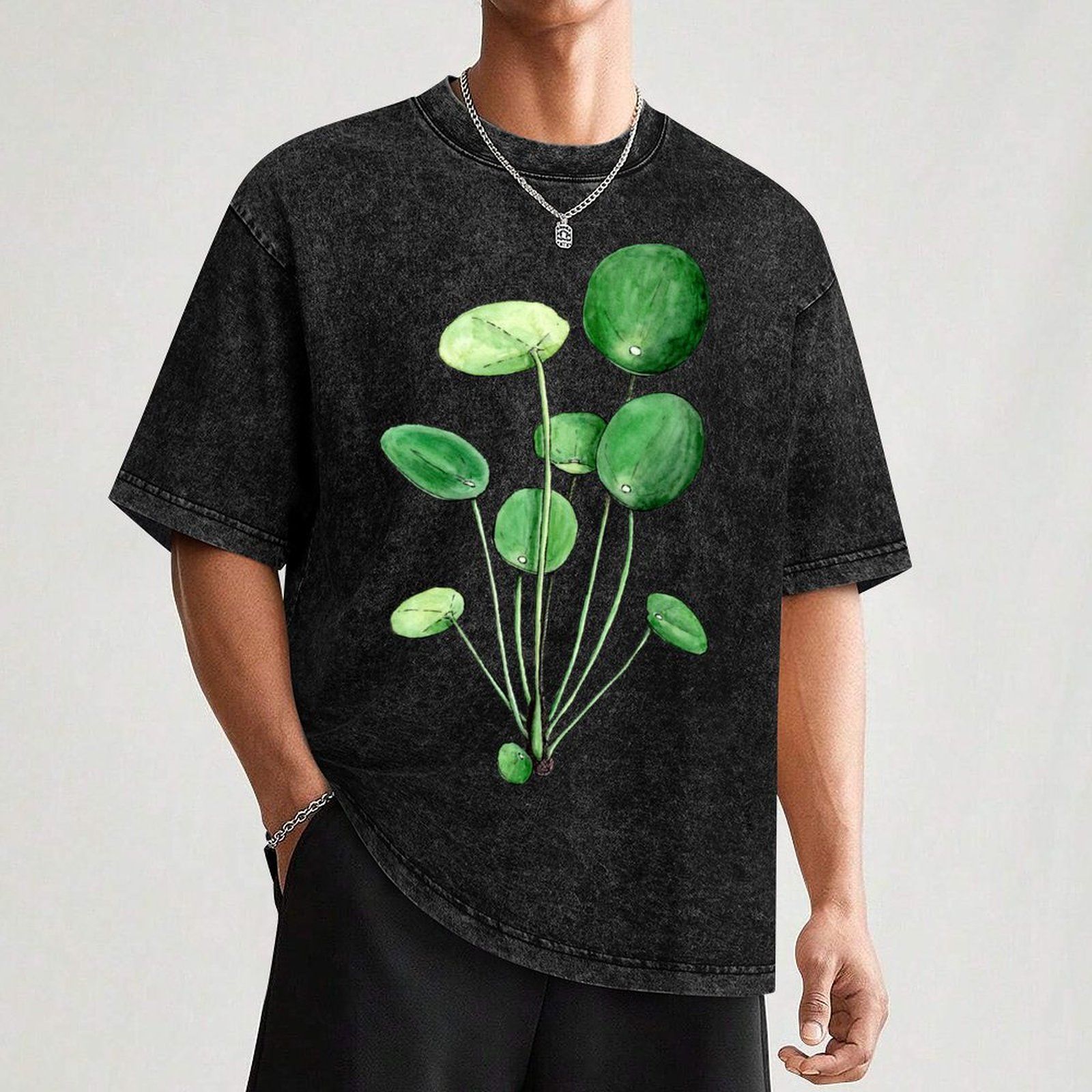 Pilea Peperomioides - Watercol - огляд і ціна Pilea Peperomioides