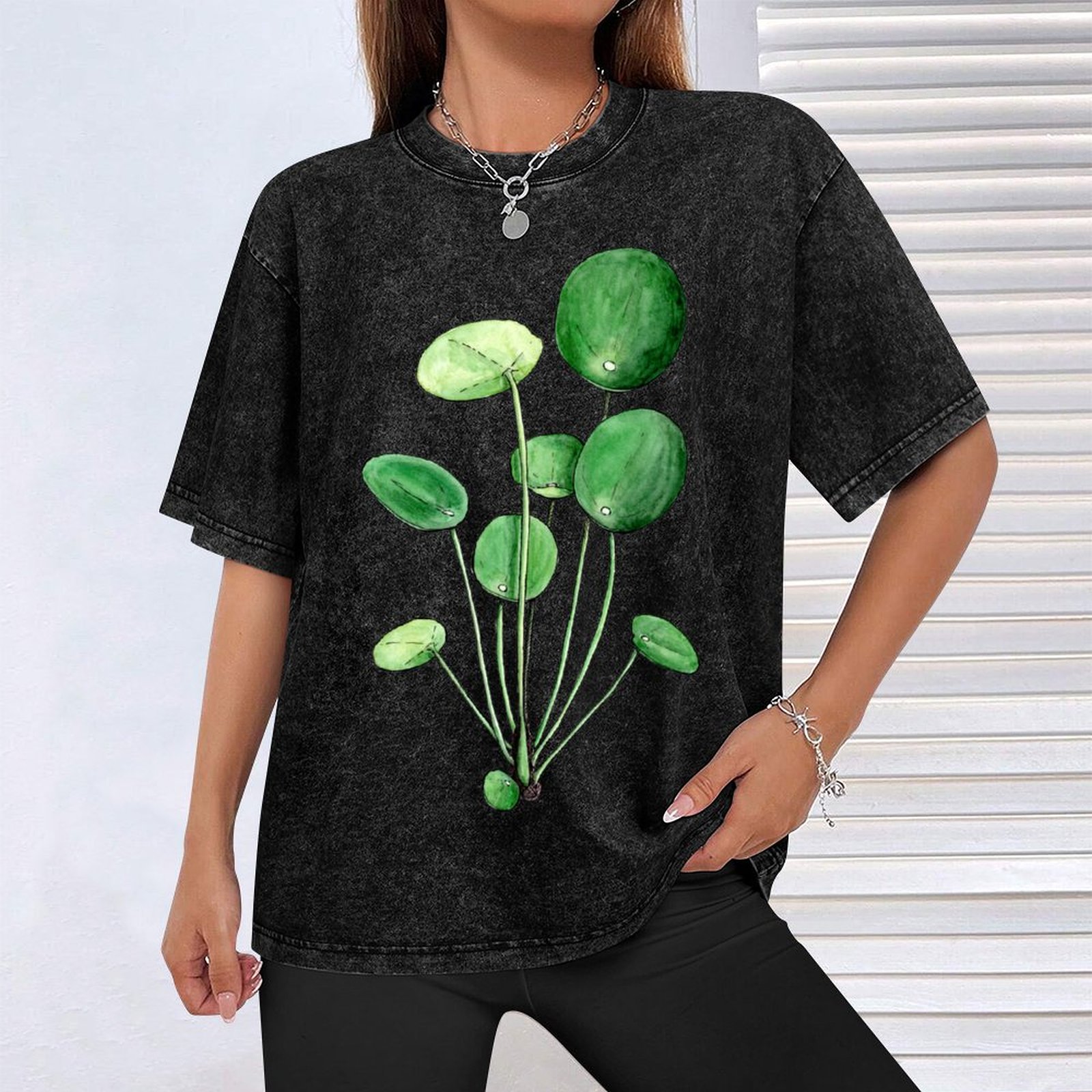 Pilea Peperomioides - Watercol - огляд і ціна Pilea Peperomioides