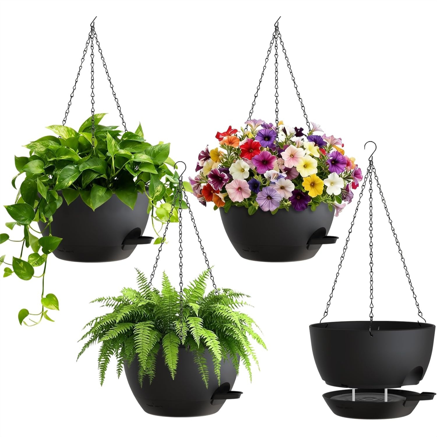 8 Inch Self Watering Hanging P - огляд і ціна Spider Plant Hanging