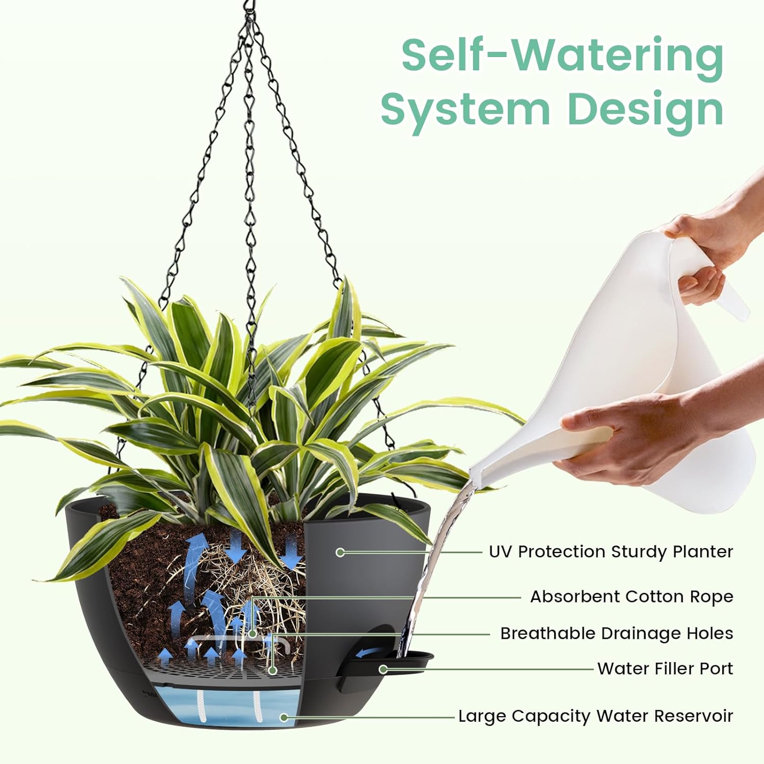 8 Inch Self Watering Hanging P - огляд і ціна Spider Plant Hanging
