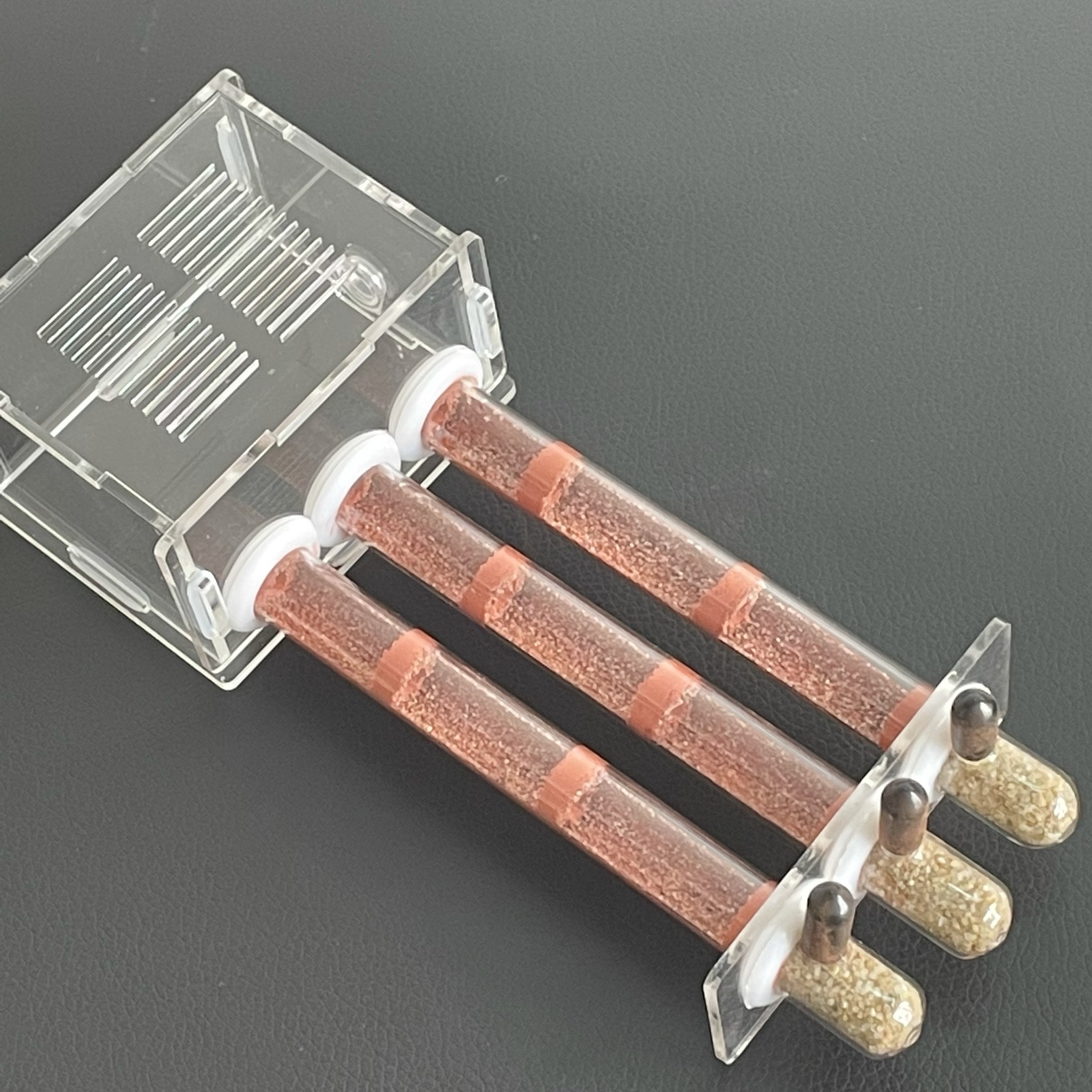 Ecological moisturing sand Ant - огляд і ціна Begonia Rex