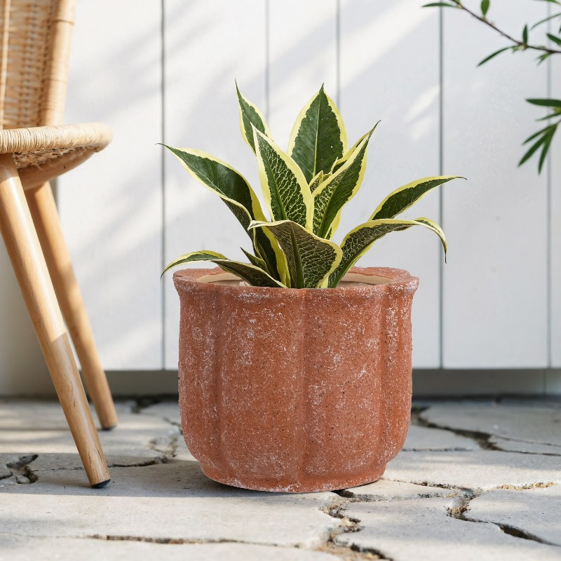 8in Terracotta Flower Planter  - огляд і ціна Aloe Vera Pot