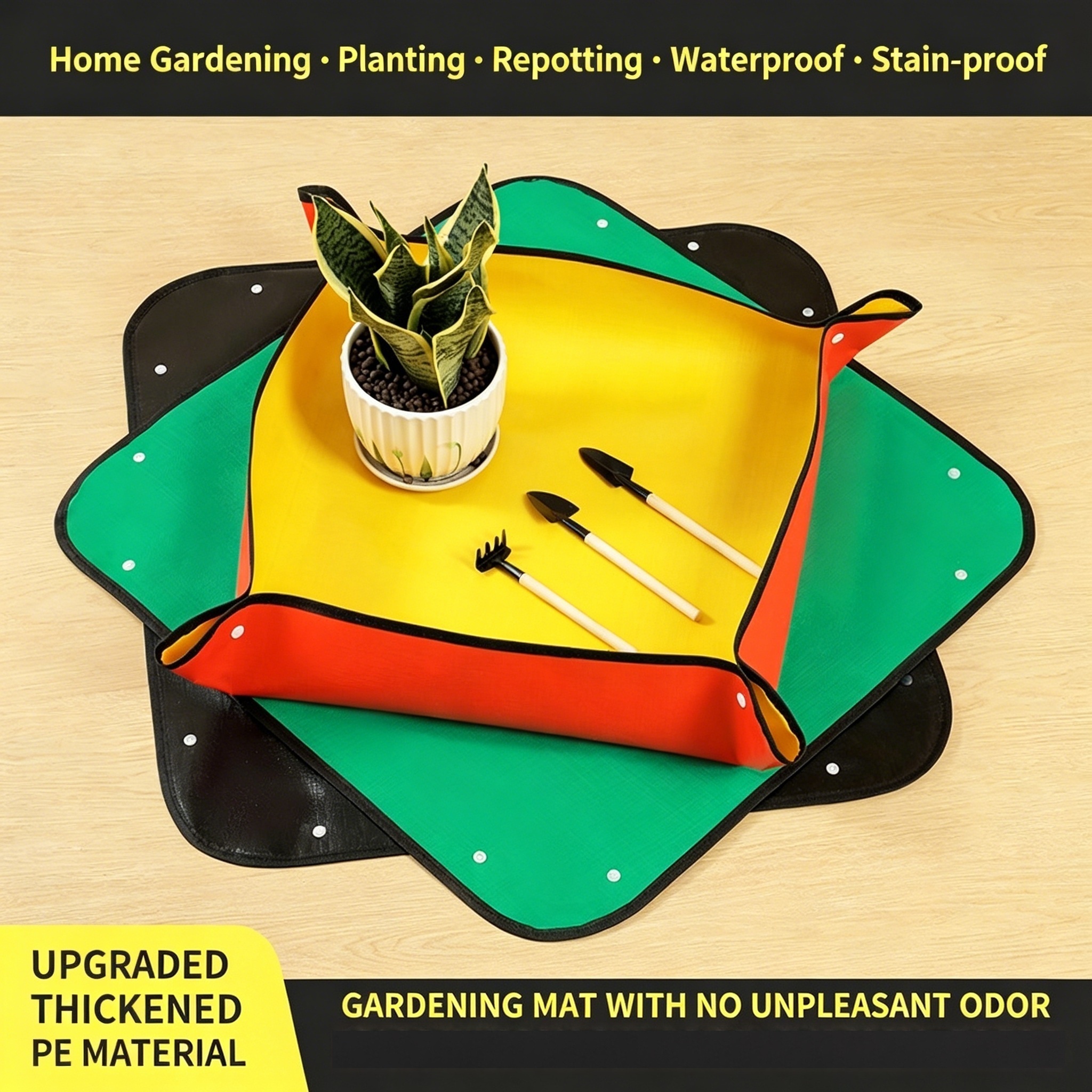 Plant Repotting Mat, Waterproo - огляд і ціна Echeveria Succulent