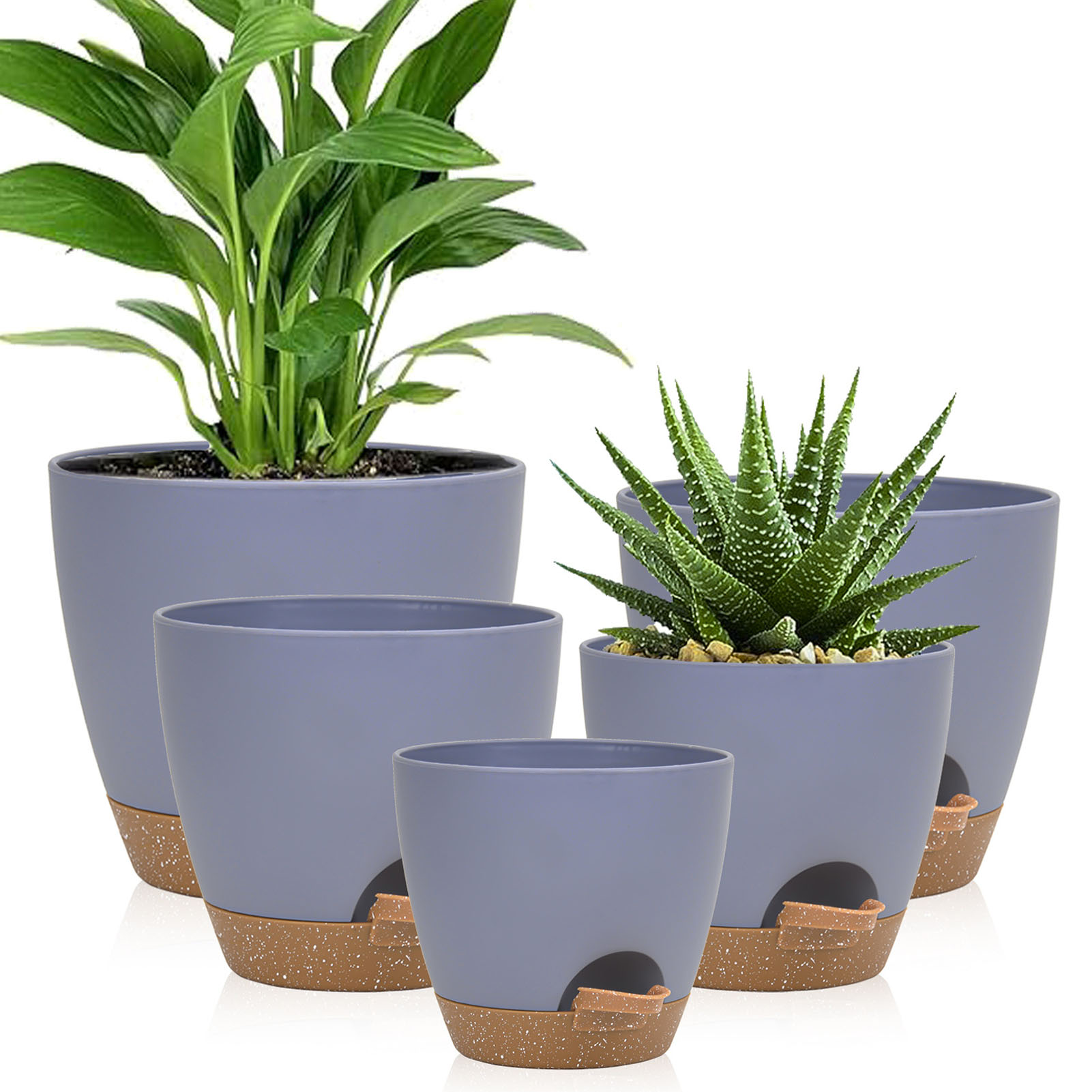 5piece Indoor Flower Pots With - огляд і ціна Aloe Vera Pot