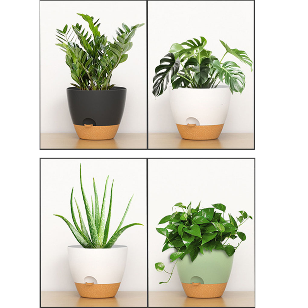 5piece Indoor Flower Pots With - огляд і ціна Aloe Vera Pot