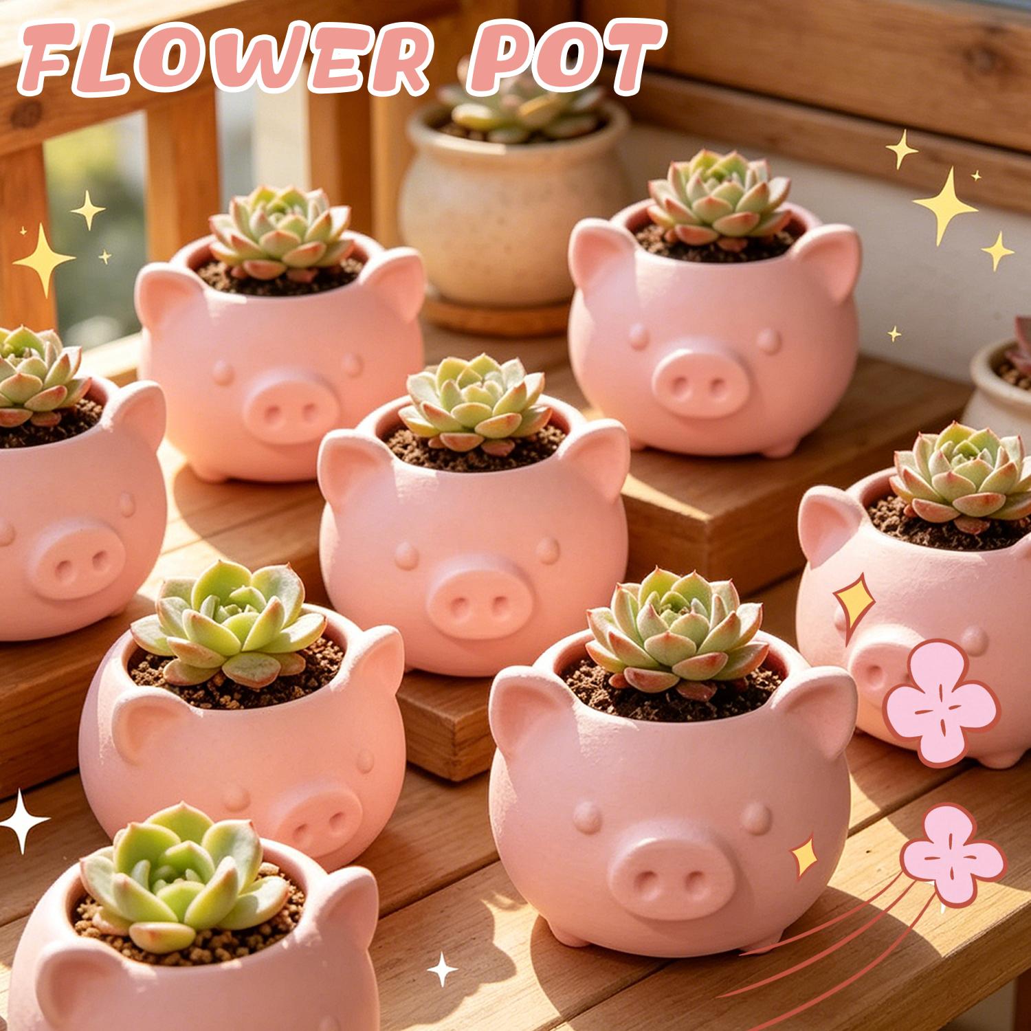 10/1pcs 3D Printed Creative Pi - огляд і ціна Echeveria Succulent