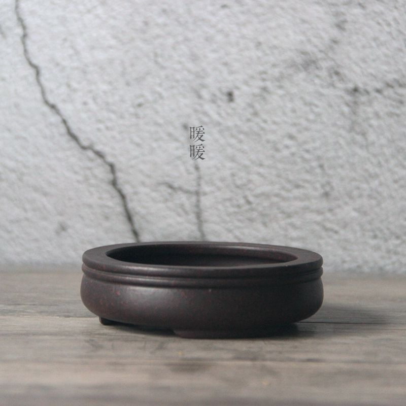 Ceramic Circle Bonsai Pot,Plat - огляд і ціна Pilea Peperomioides