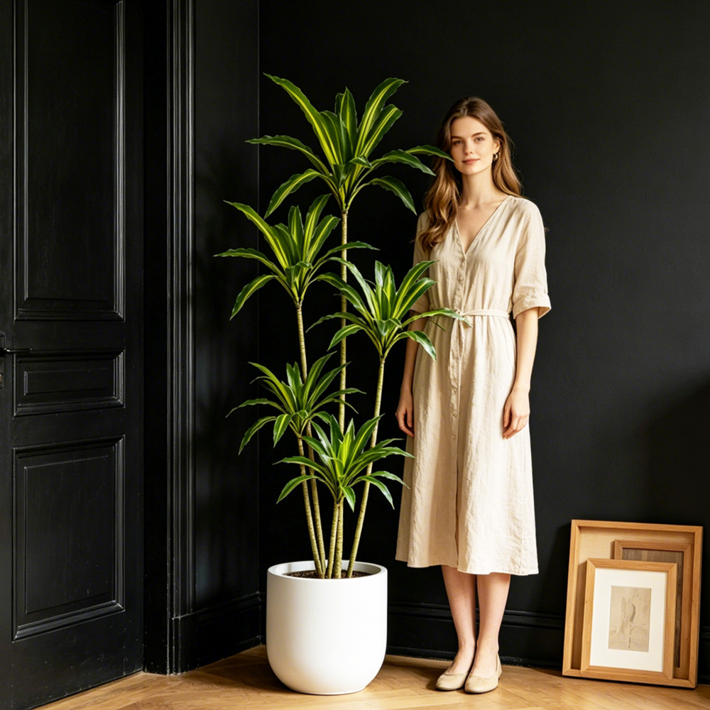 80-165cm Large Artifcial Draca - огляд і ціна Dracaena Marginata