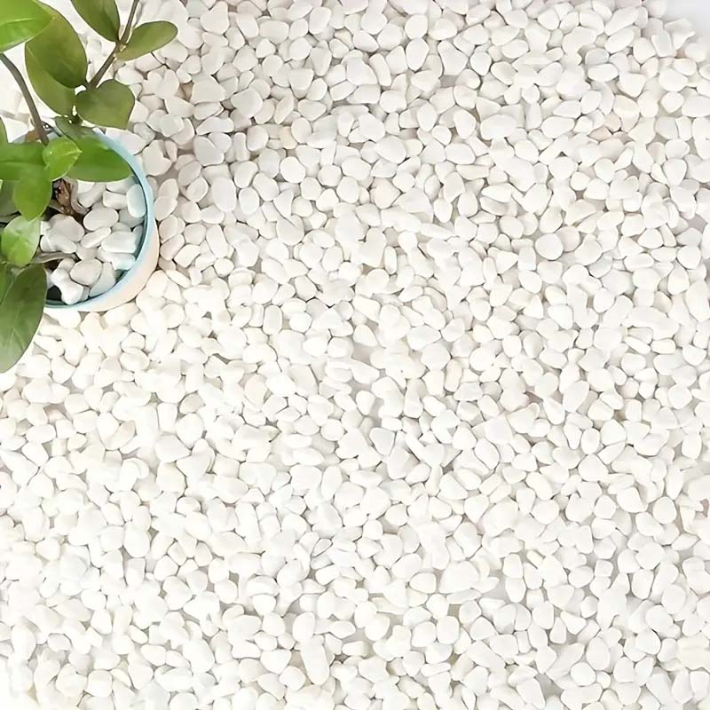 White Pebbles Decorative Stone - огляд і ціна Echeveria Succulent
