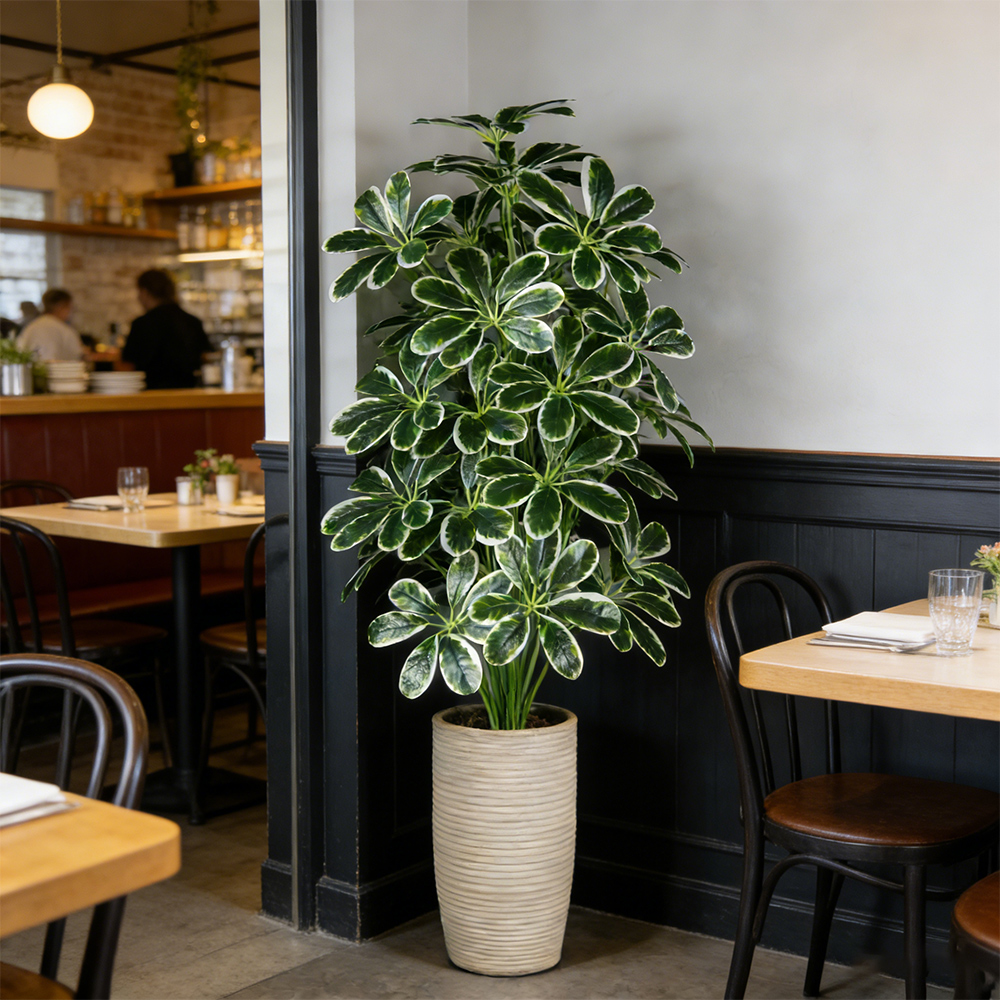 50-75cm Artifficial Maranta Pl - огляд і ціна Dracaena Marginata