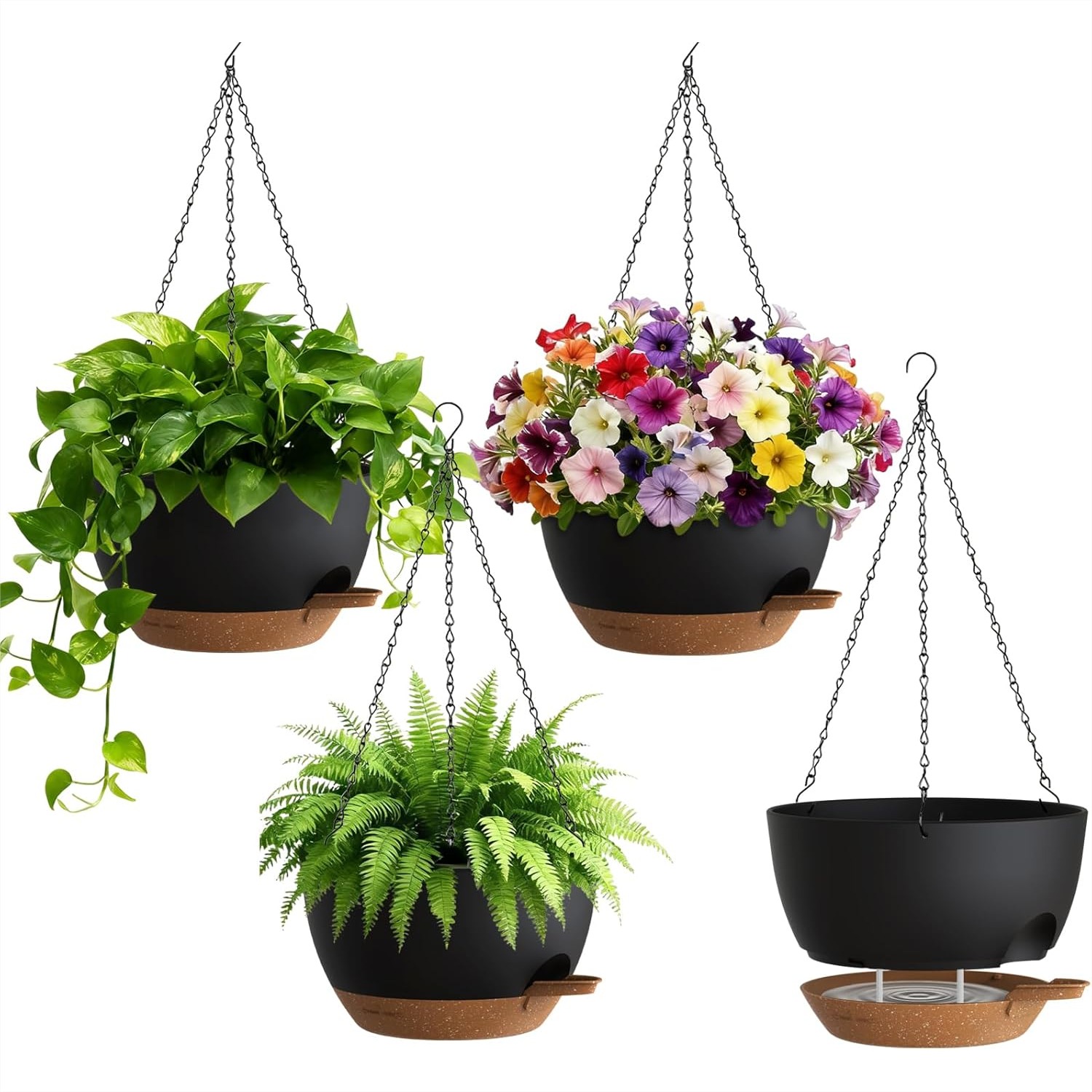 Self Watering Hanging Planters - огляд і ціна Spider Plant Hanging