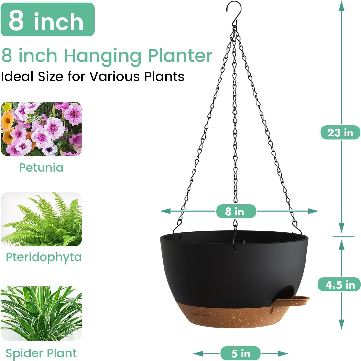 Self Watering Hanging Planters - огляд і ціна Spider Plant Hanging