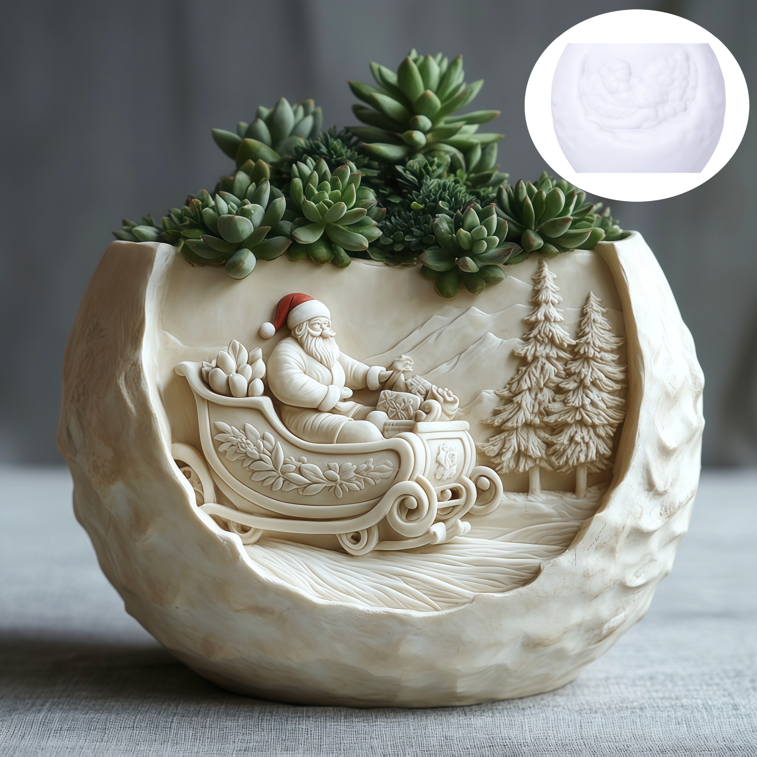 Cedar Sled Santa Claus Relief  - огляд і ціна Echeveria Succulent