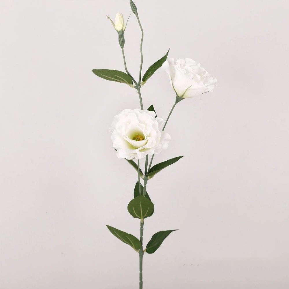 Platycodon Flower Artificial B - огляд і ціна Ficus Lyrata Tree
