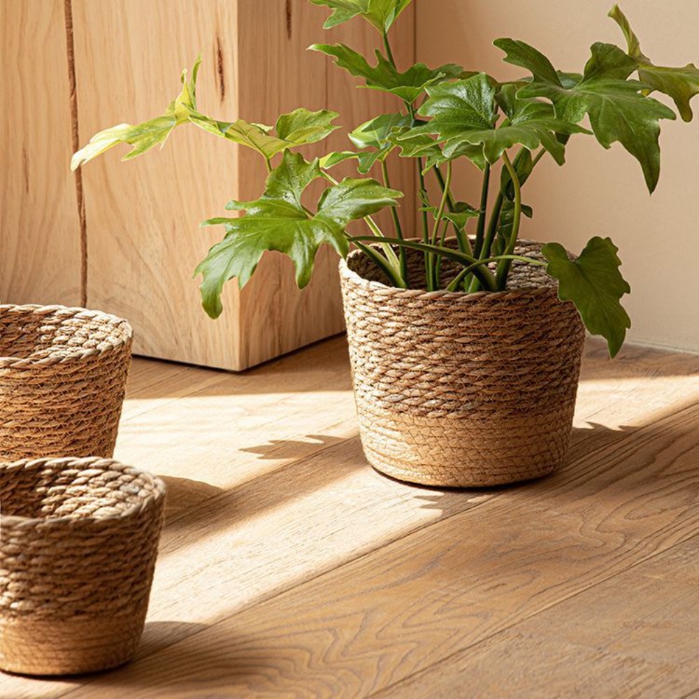 Straw Weaving Flower Plant Pot - огляд і ціна Aloe Vera Pot