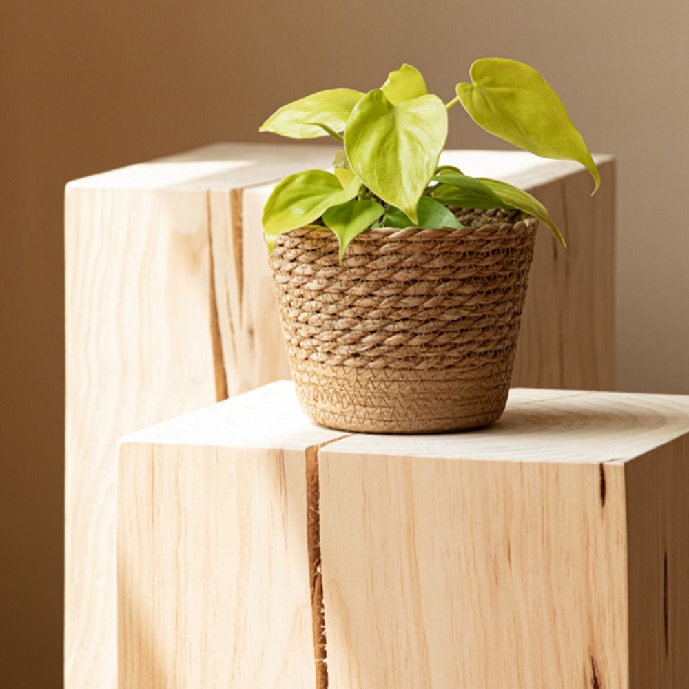 Straw Weaving Flower Plant Pot - огляд і ціна Aloe Vera Pot