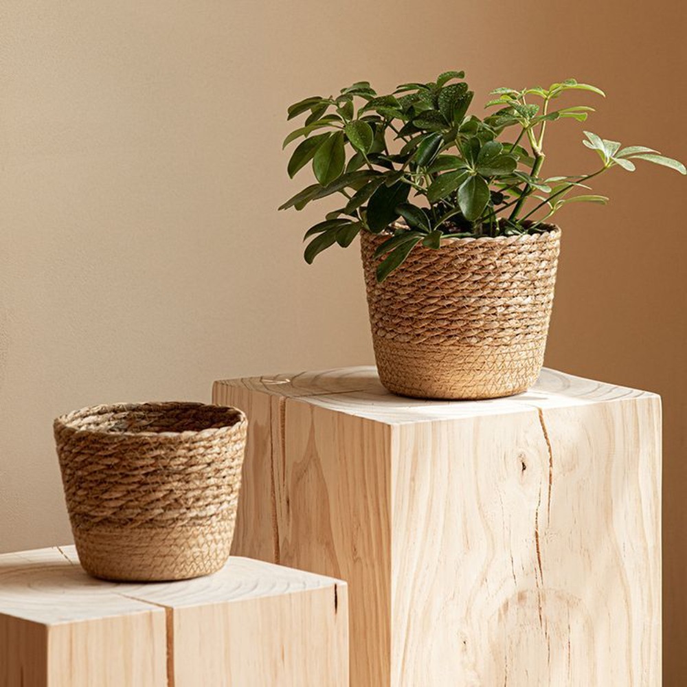 Straw Weaving Flower Plant Pot - огляд і ціна Aloe Vera Pot