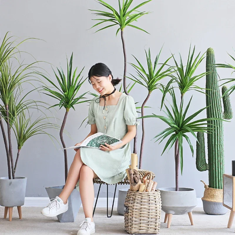 Simulation Plant Dracaena Marg - огляд і ціна Dracaena Marginata
