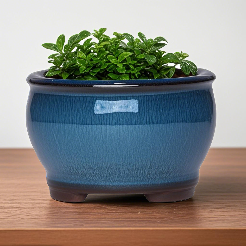 Ceramic Garden Planter Pots Ce - огляд і ціна Aloe Vera Pot