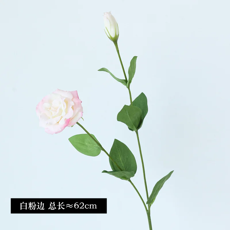 10Pcs/lot Moisturizing 2Head E - огляд і ціна Ficus Lyrata Tree