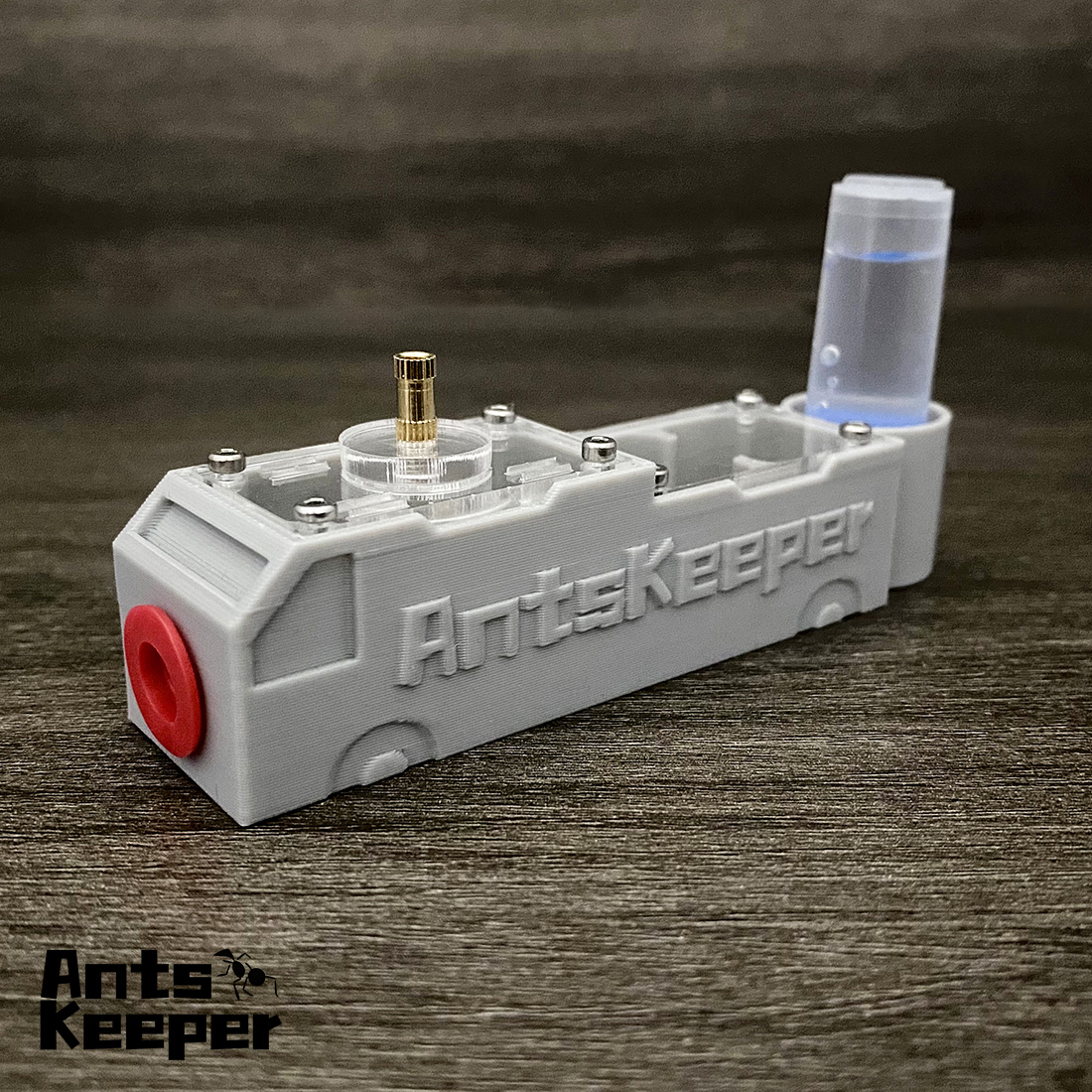 【Truck】Ant Farm for Ants keepe - огляд і ціна Begonia Rex