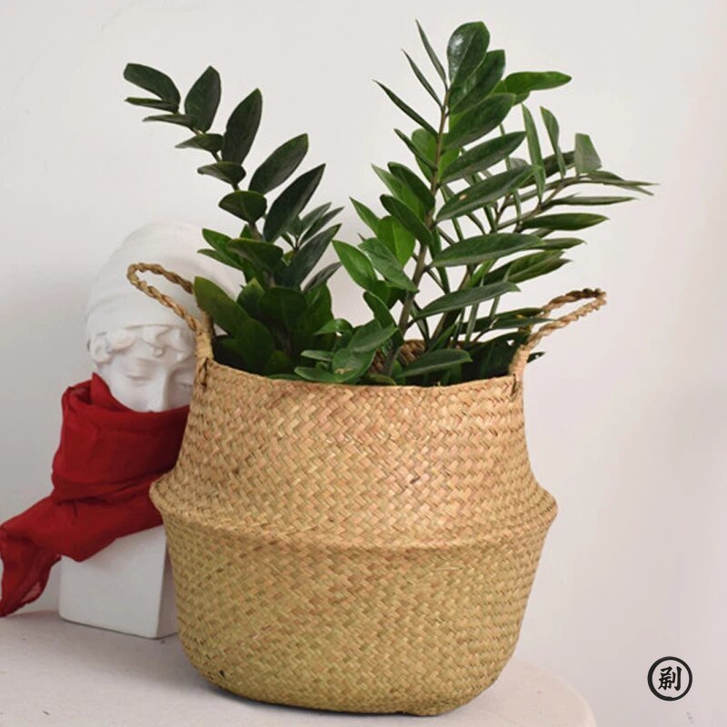 Wicker Basket Toy Organizer Fo - огляд і ціна Aloe Vera Pot