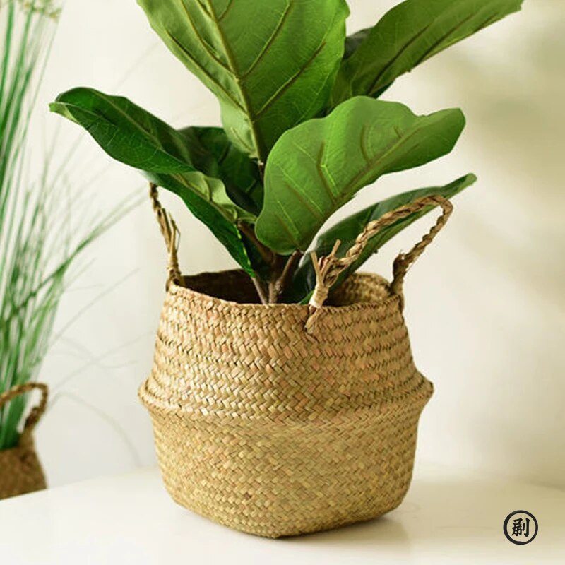 Wicker Basket Toy Organizer Fo - огляд і ціна Aloe Vera Pot