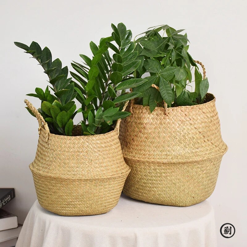Wicker Basket Toy Organizer Fo - огляд і ціна Aloe Vera Pot