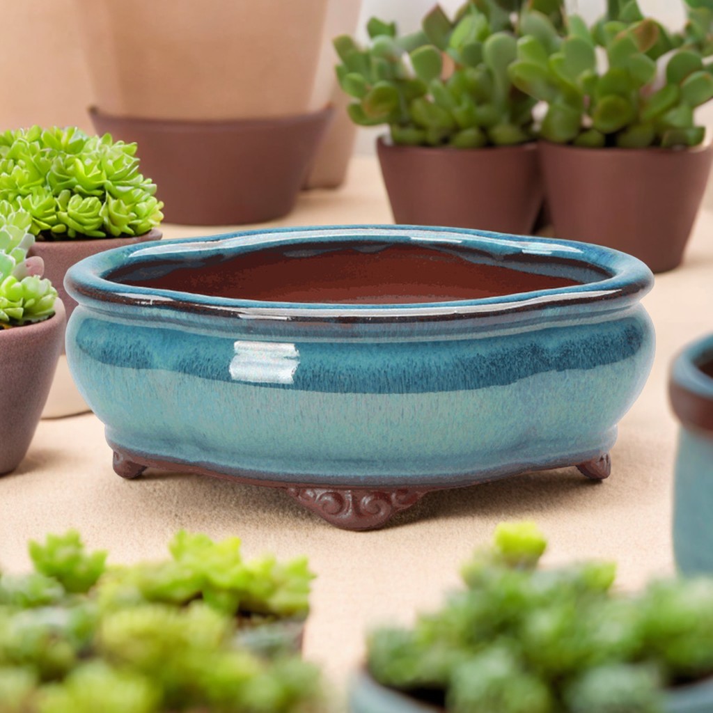 Ceramic Succulent Flower Pot C - огляд і ціна Pilea Peperomioides
